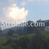 Raw materials arrive from the ecologically clean mountainous area of Bukovina